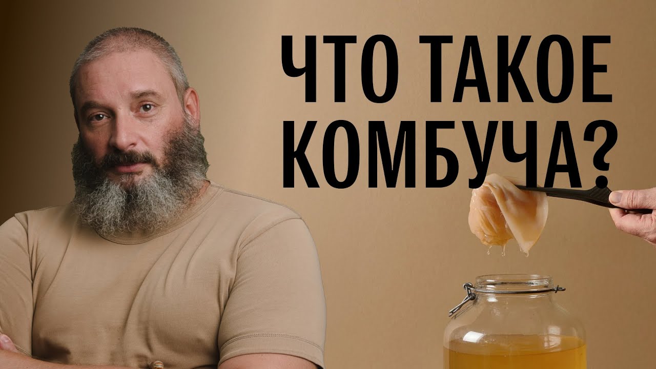 Полезен ли чайный гриб (комбуча)? Михаил Вишневский