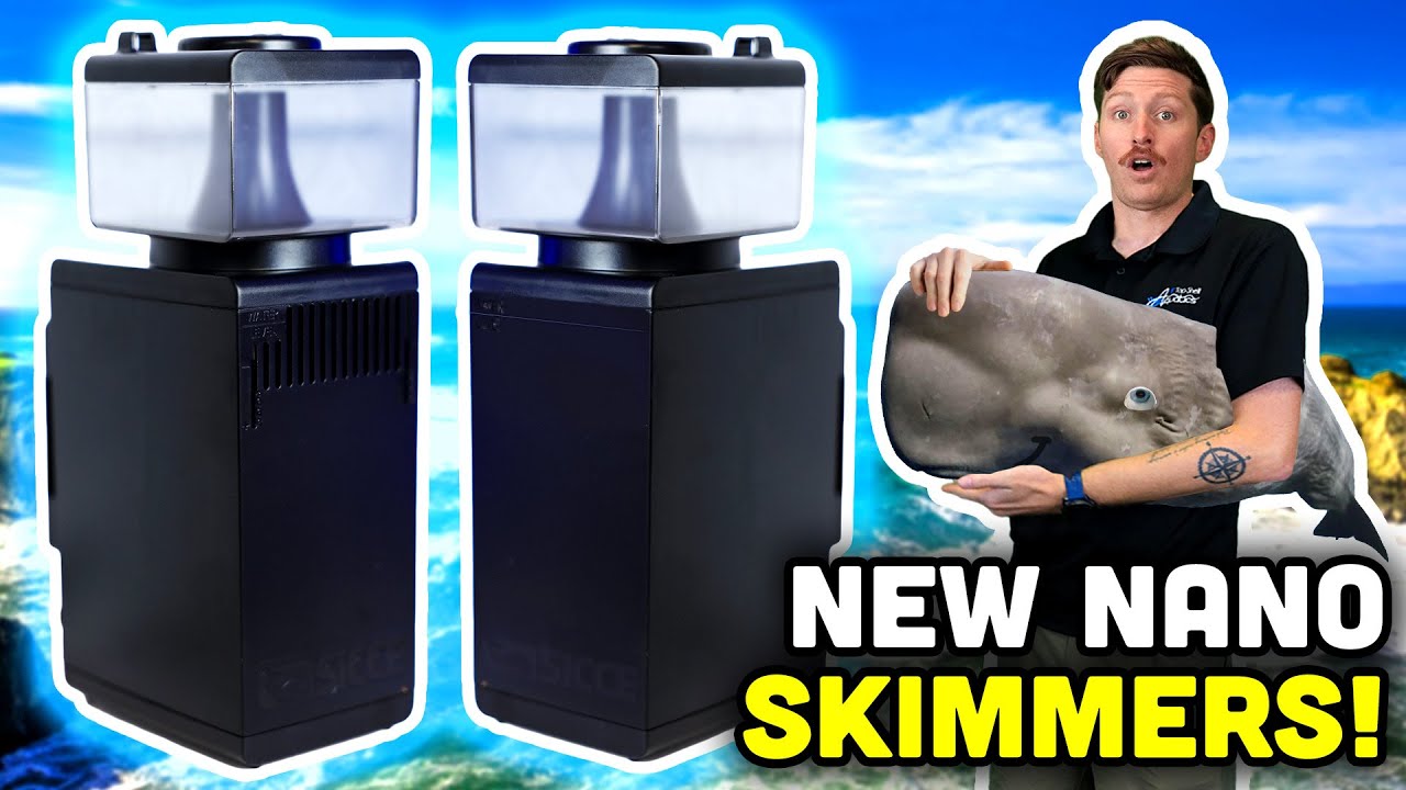 NEW Sicce Shark 150 & 300! The Future of Nano Skimming?