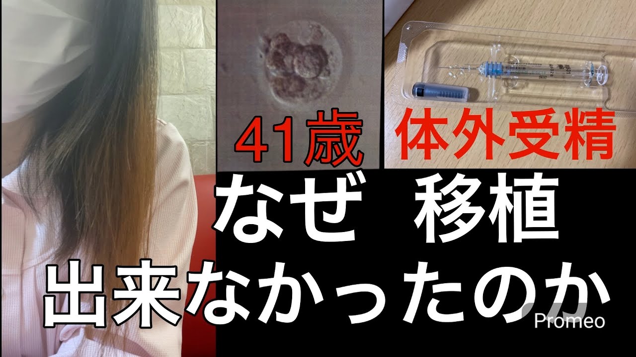 体外受精 培養経過聞いてきました #胚移植  #卵子  #2人目不妊  #不妊治療中