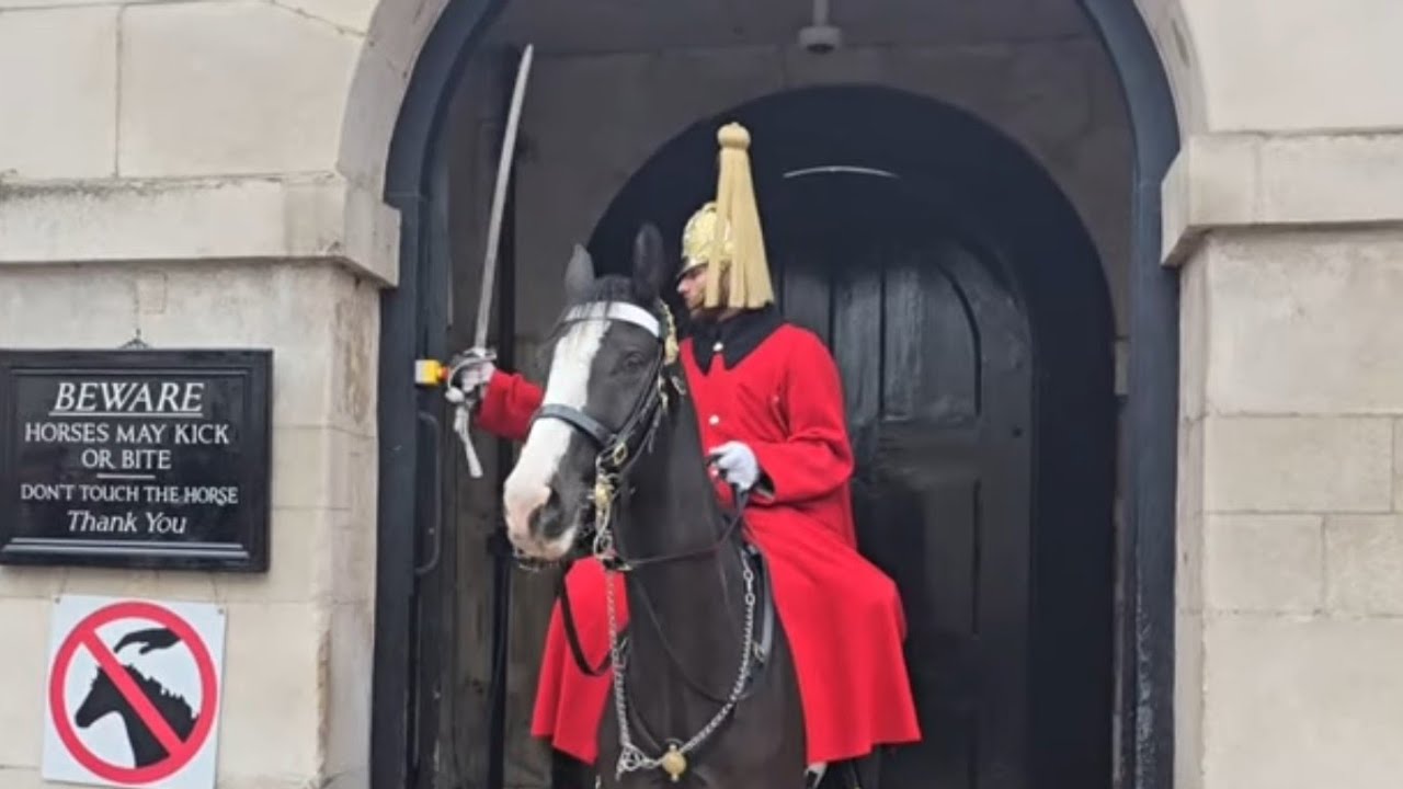 King's guard hits the panic button. Man, that squared up the police returns #royalguards