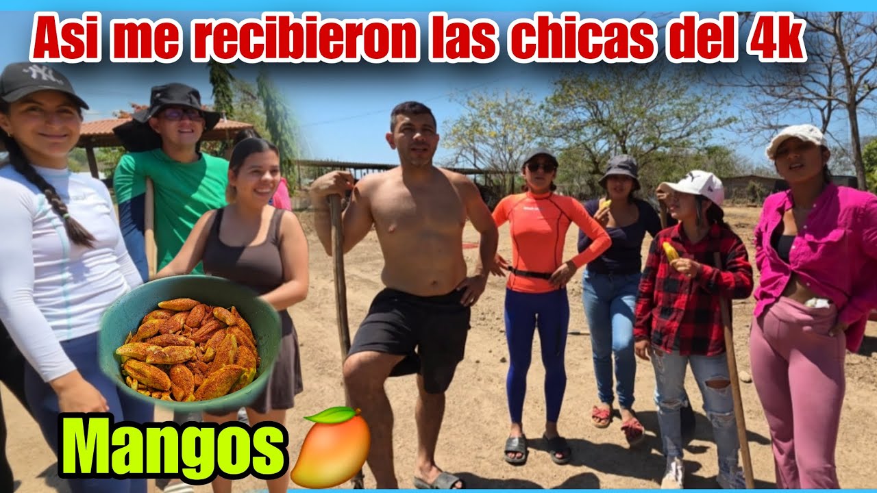 Les llevamos mangos preparados a las bichas/os  del 4k🥭🤭Miren lo que me dijo camarón 😱