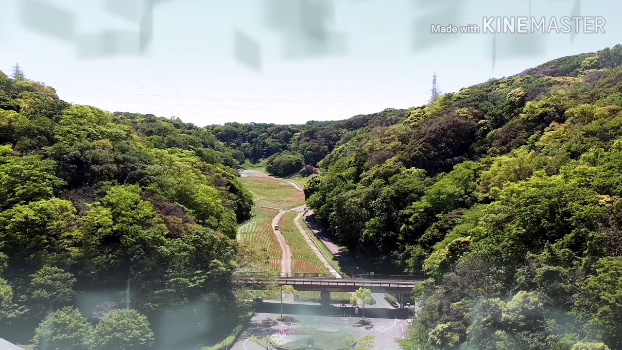 はなの国（閉園中）