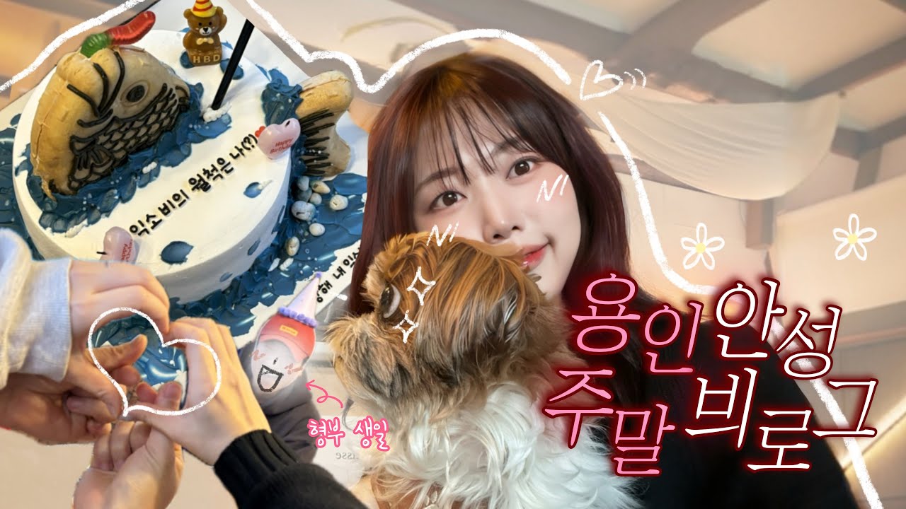 [용인안성 vlog] 안성 바스크 치즈케이크 맛집 │ 느좋 용인 포차거리 │ 가족과 강쟌옹이 함께하는 엉망진창 형부 🍰탄생파티🍰