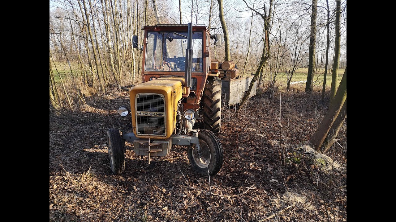 Wycinka suchych drzew na nieużytkach || Ursus C360 3P, Stihl MS230