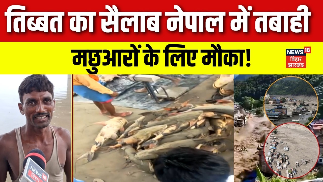 Bihar Flood Update : नेपाल में तबाही, गोपालगंज में मछुआरों के लिए मौका! | Nepal Flash Flood | N18V