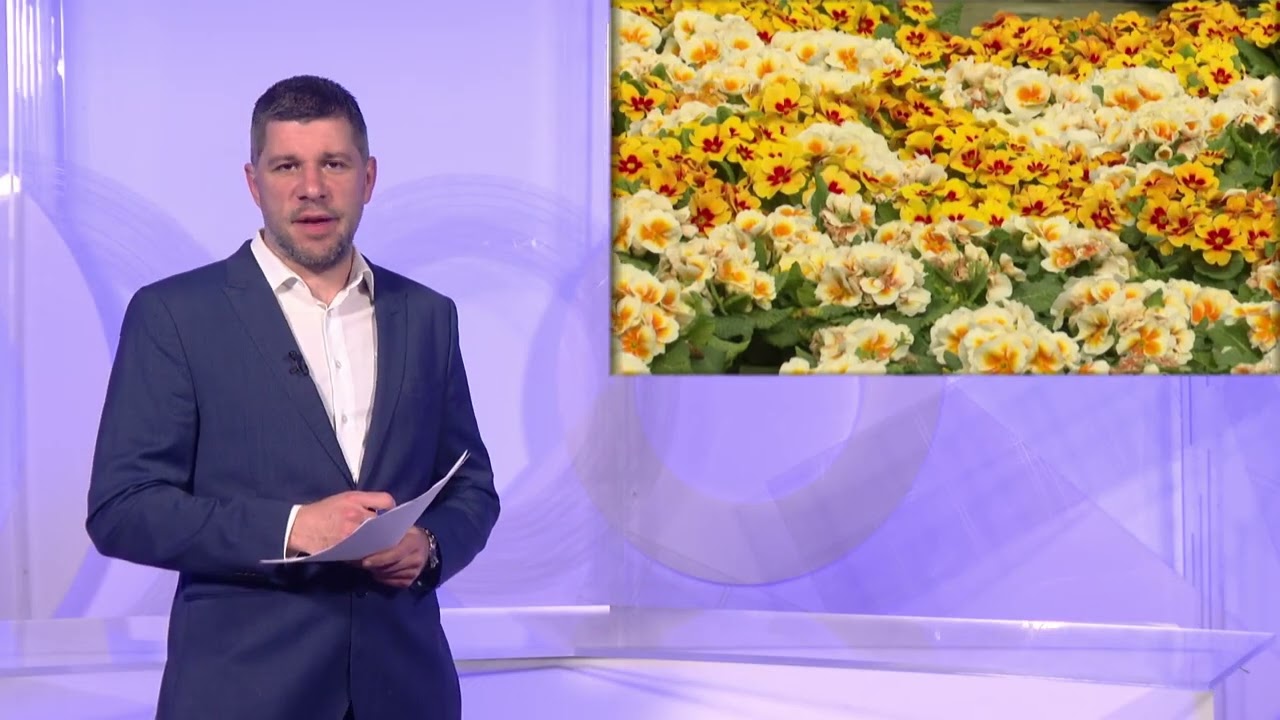 6.3.2026 VIJESTI OSJEČKE TELEVIZIJE