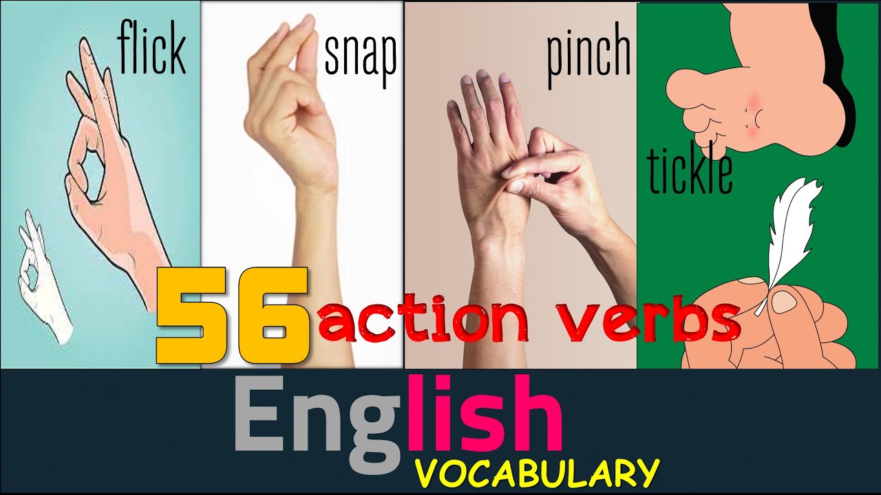 [1] ENGLISH VERBS | 56 ACTION VERBS for daily use (with examples)