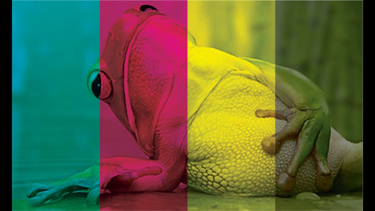 CorelDRAW - TIPS DE IMPRESION