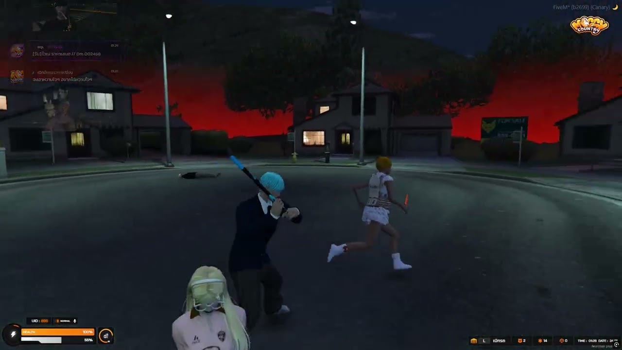 247 in Moggy | Moggy Country | Fivem Montage