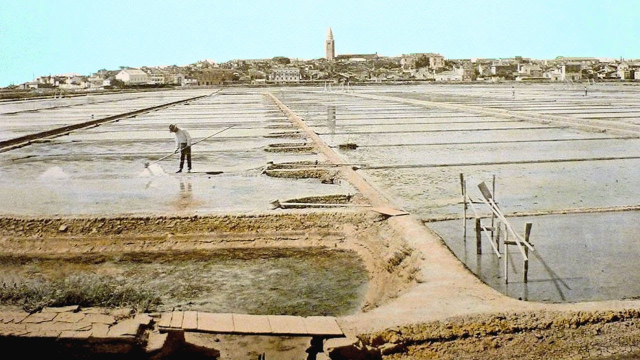 Koprske Soline, Le saline di Capodistria, Koper salt pans