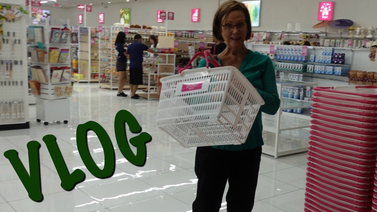 VLOG: ERIN CONDREN GOODIES, SWEET TOMATOES, DAISO| DR DRAY