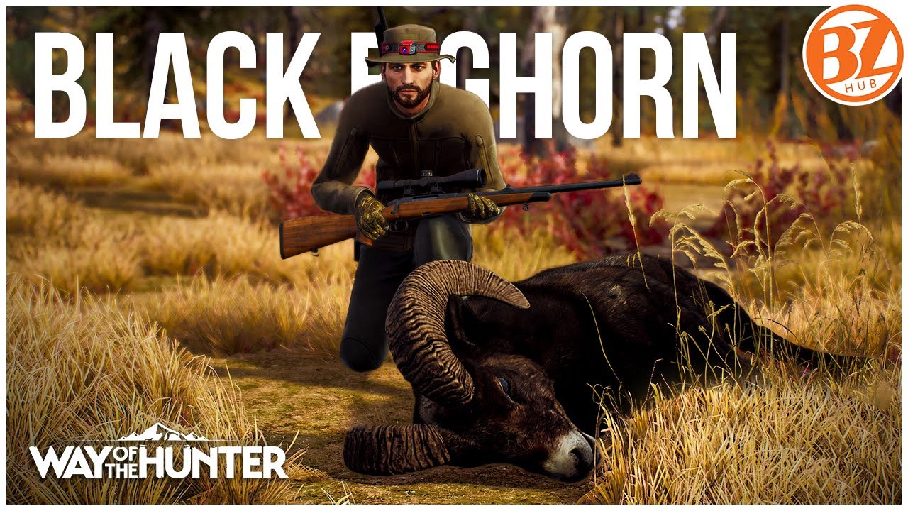 Taking down the Black Bighorn sheep! | Way of the Hunter