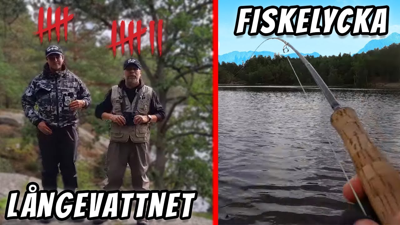 Otroligt Bra Flugfiske i Långevattnet | Fiskelycka