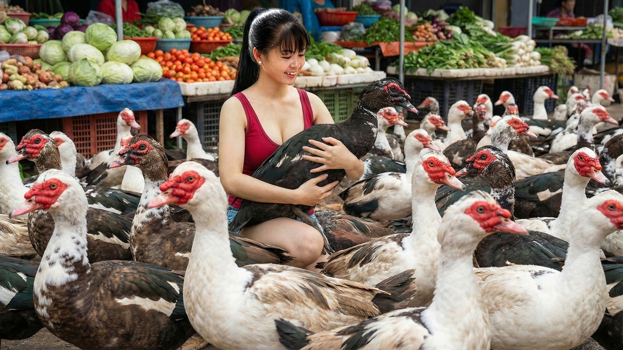 [TIMELAPSE] -- 366 Days Harvesting A Lot Of Musk Duck, Chicken - Sell Them At The Market