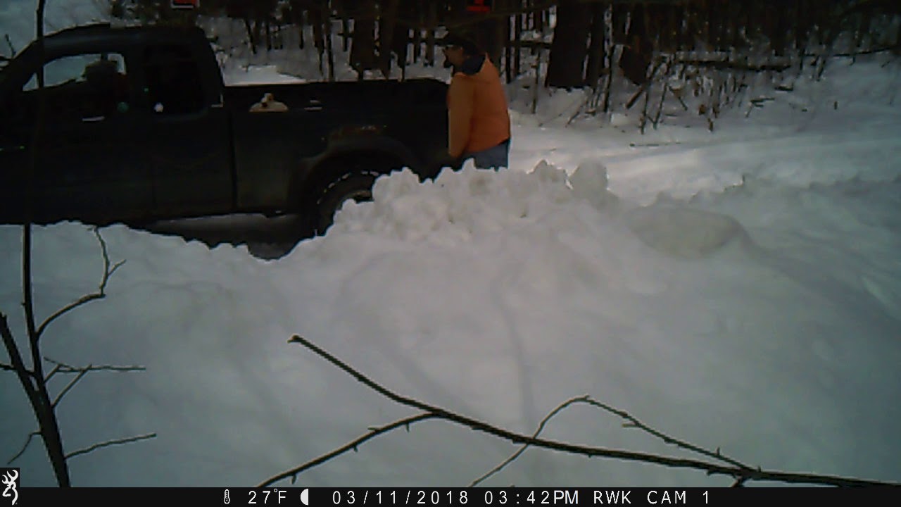 Trespasser - March 11 2018 - Raw Trail Cam Video