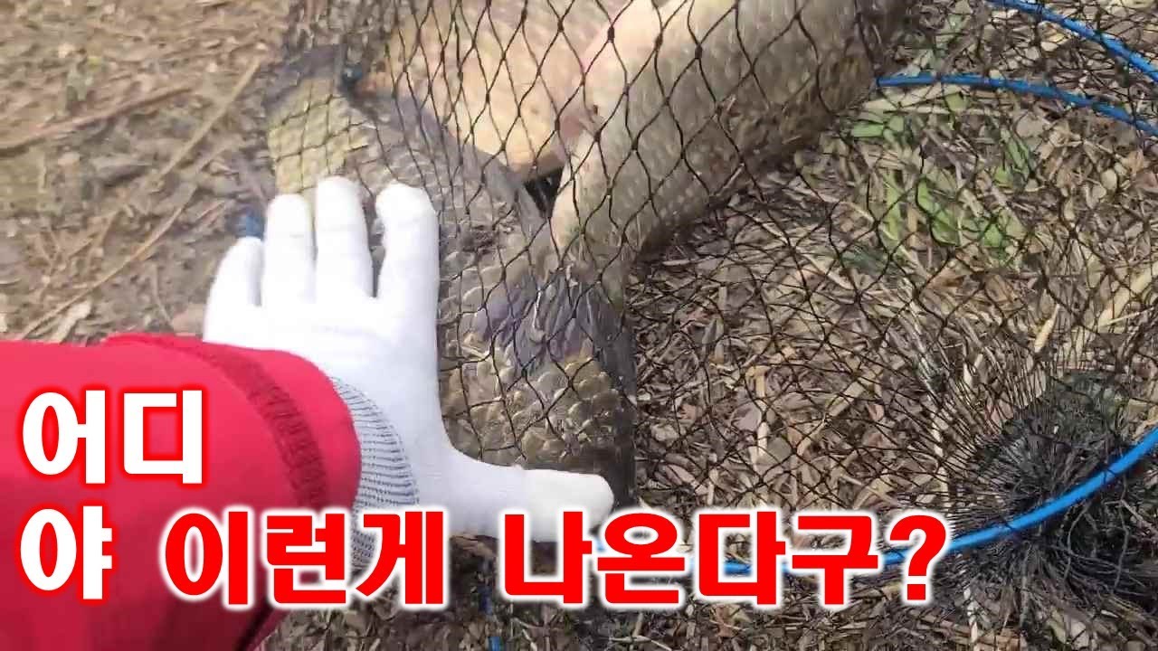 어디야 이런게 나온다구