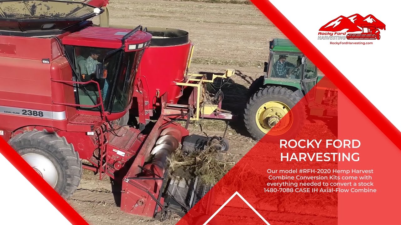 Rocky Ford Harvesting Hemp Combine