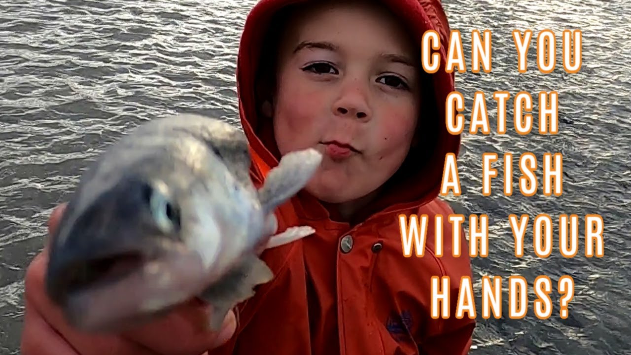 CAN YOU CATCH A FISH WITH YOUR HANDS? | HOOLIGAN FISHING ON THE SUSITNA RIVER: This Alaska Life