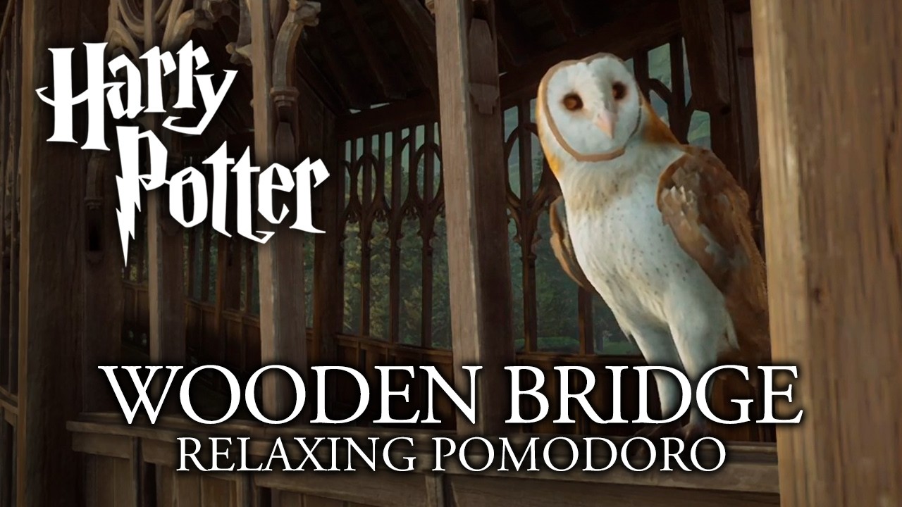 2h Wooden Bridge Relaxing Pomodoro 🎧🌧️ Harry Potter ASMR Study Session