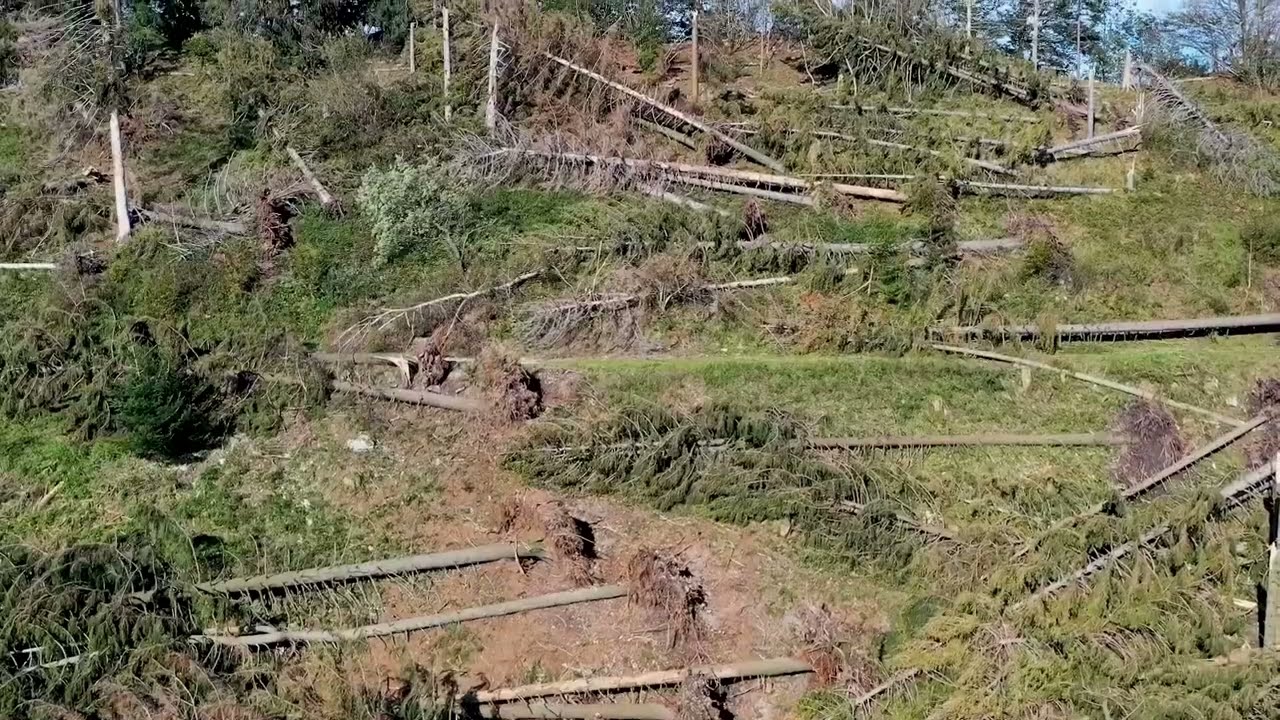 La tempesta di vento che ha sconvolto il Campo dei Fiori a Varese