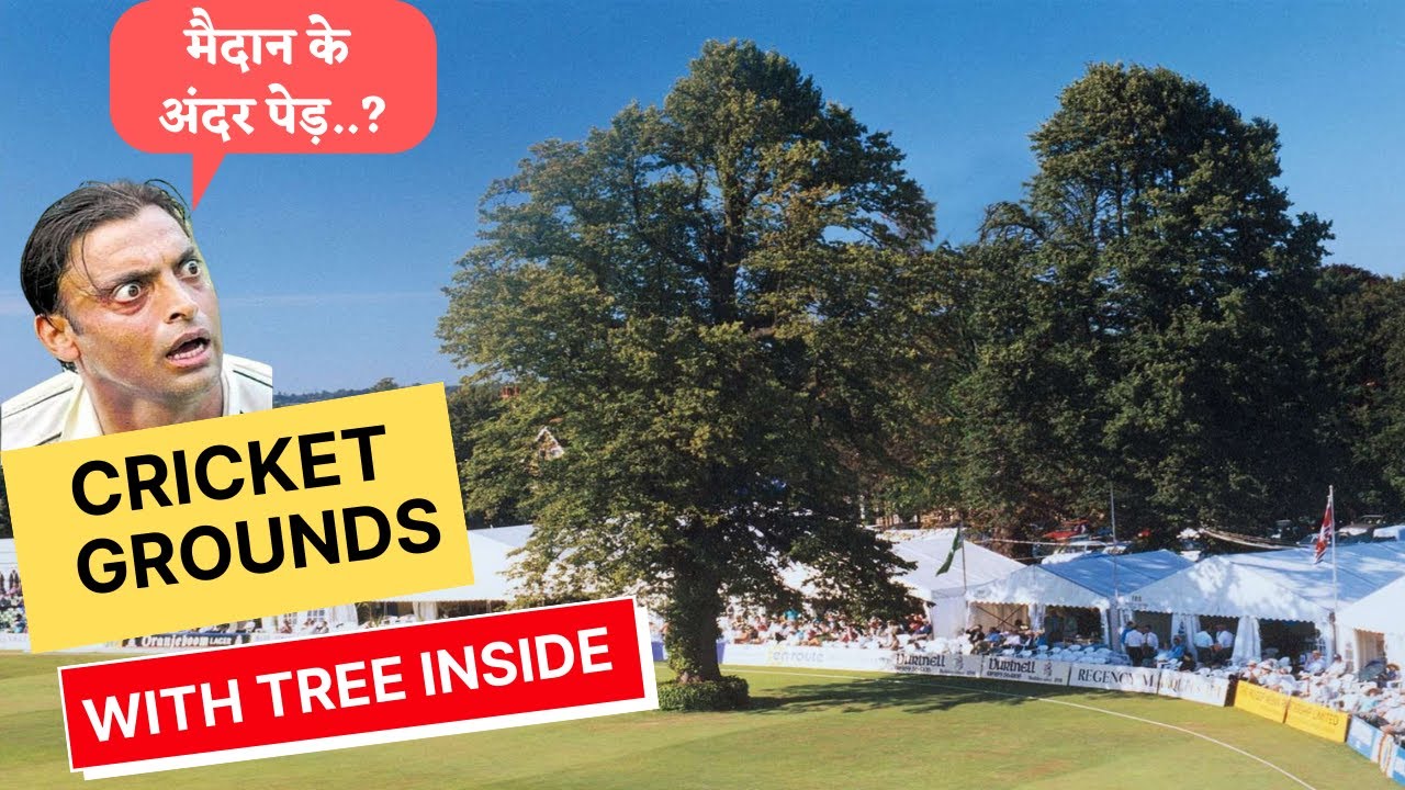 International Cricket Stadiums with Tree inside || क्रिकेट मैदान जहाँ बाउंड्री के अंदर हैं पेड़