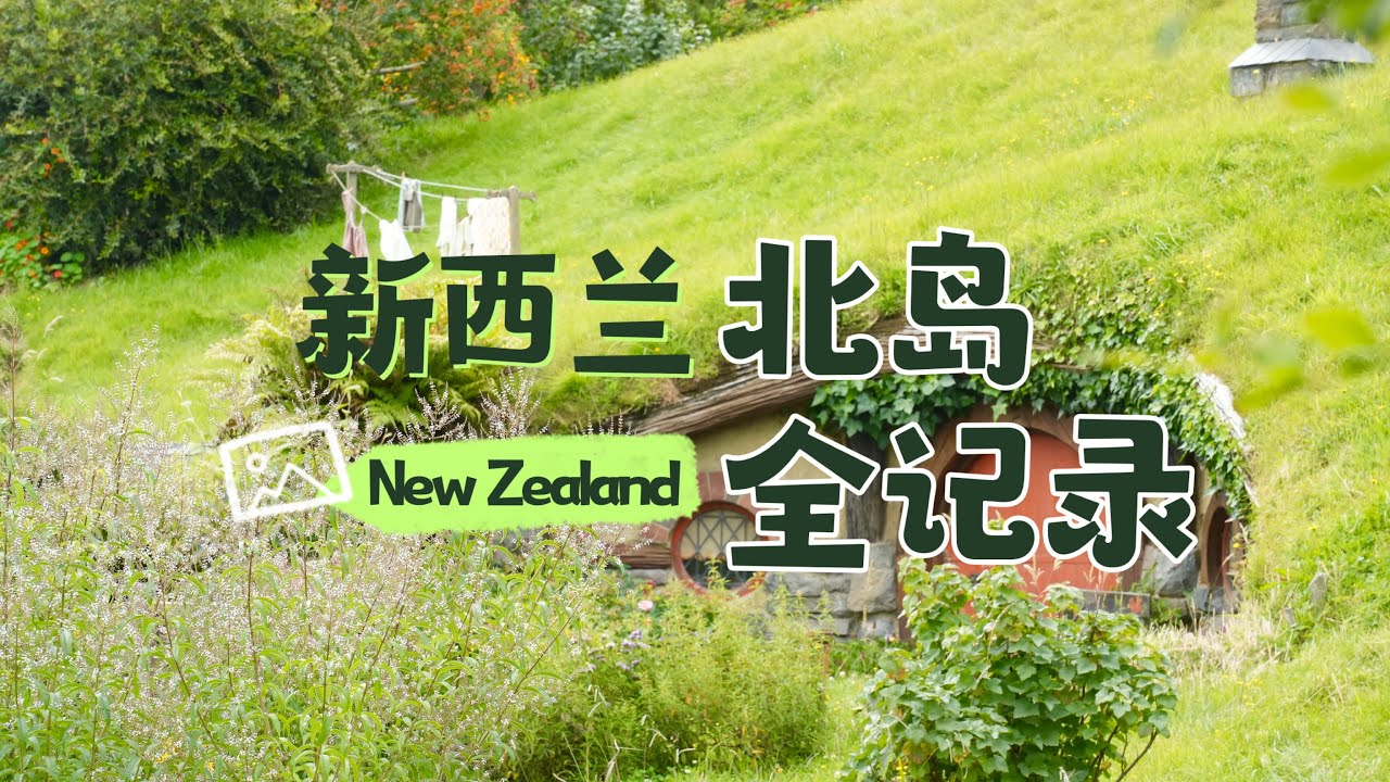 【新西兰vlog】新西兰北岛没意思？魔戒取景地+萤火虫银河+地热奇观 全记录