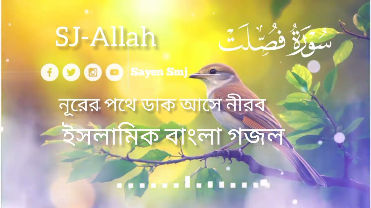 নূরের পথে ডাক আসে নীরব ইসলামিক বাংলা গজল.. 