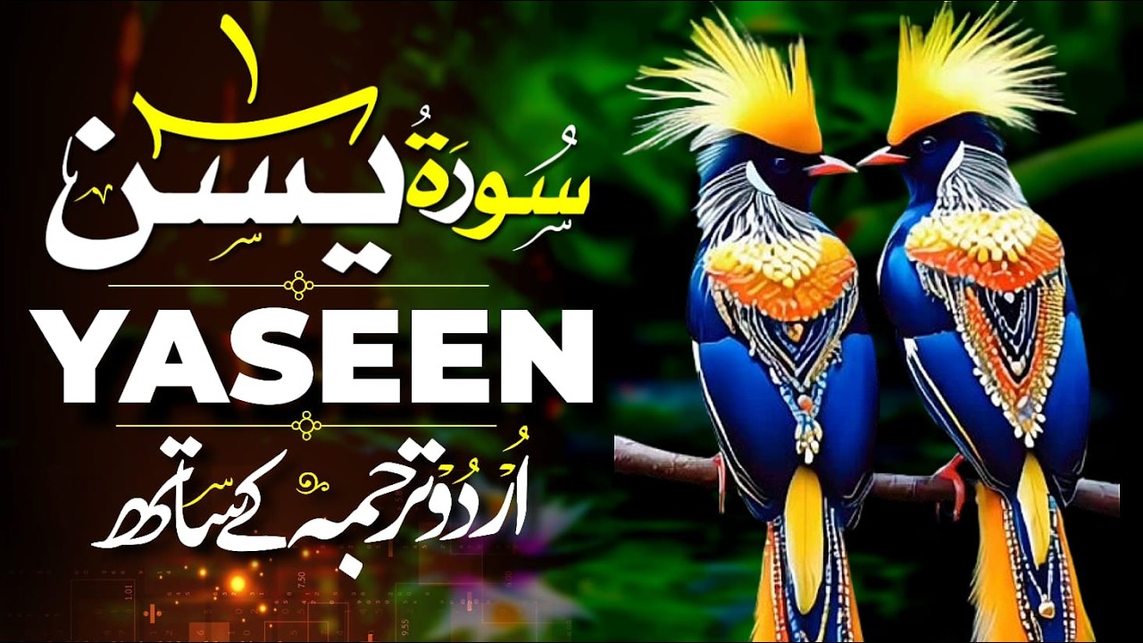 Surah Yaseen (Yasin) سورة يس | heart touching voice | Learn easy Quran | EP:03