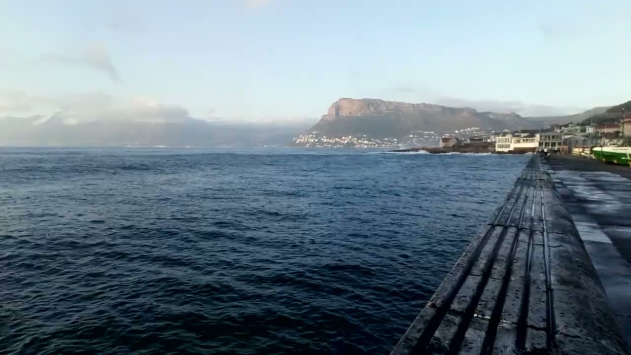 ASMR, Harbour wall views this time, plus seals!, plus a small lighthouse!