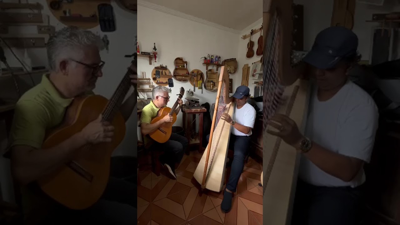 ✨Narcizo Lucena & Willian Januário - 🇧🇷 música 🎵 é Saúde 🫶✨( lutheria Narcizo Lucena)