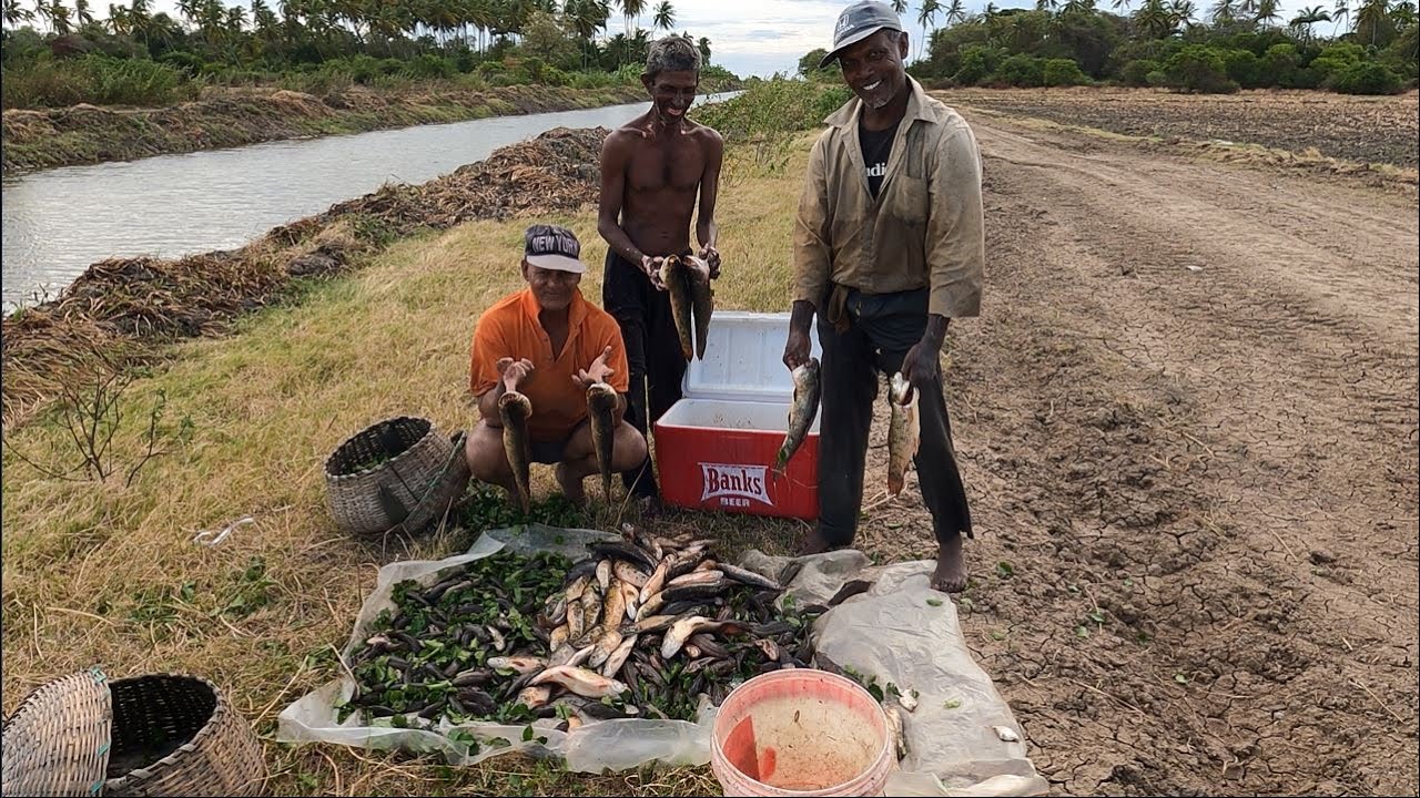 CATCHING GIANT HOURI & HASSAR #CATCH CLEAN COOK
