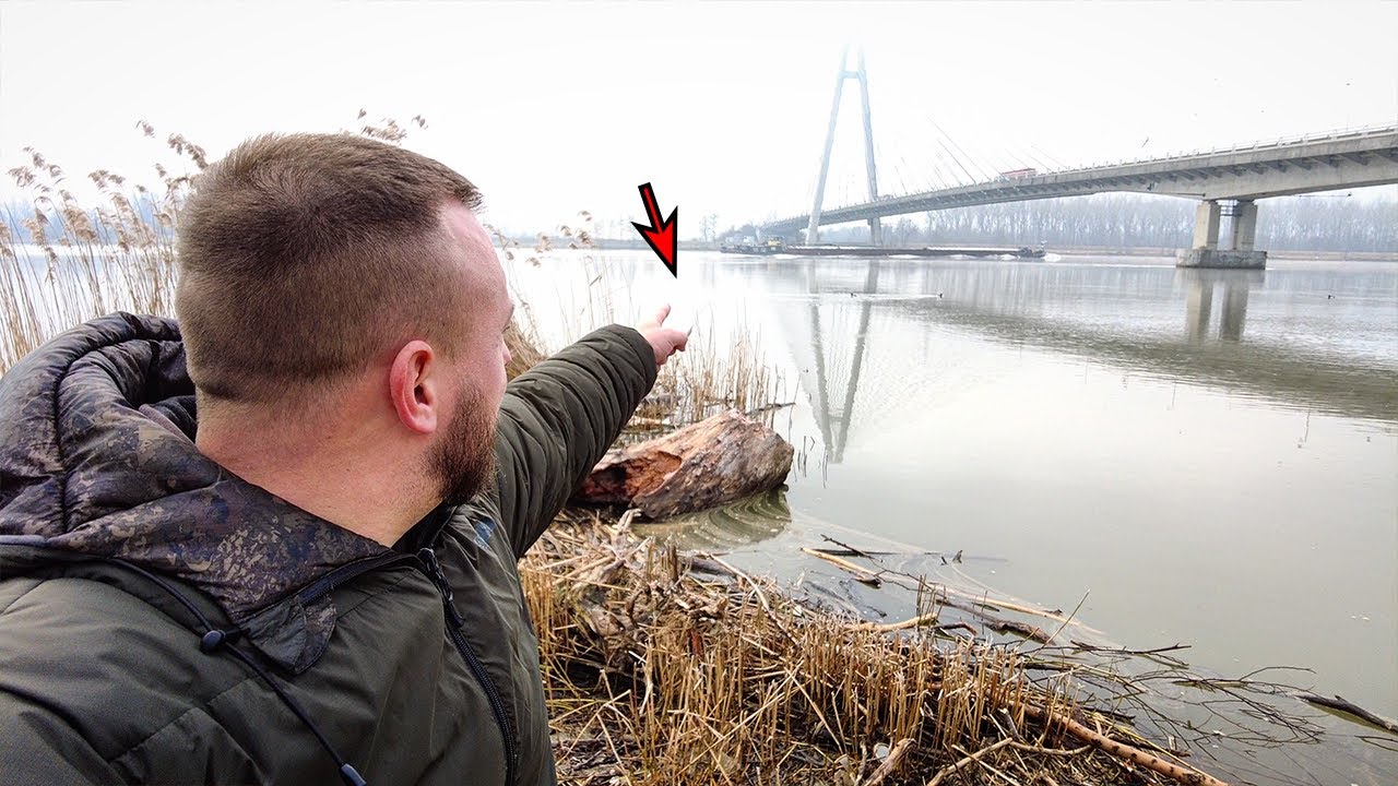 Karpfenangeln am Fluss in Österreich mit Tipps und Tricks: WOHNT HIER DER DONAUBULLE? (2024)