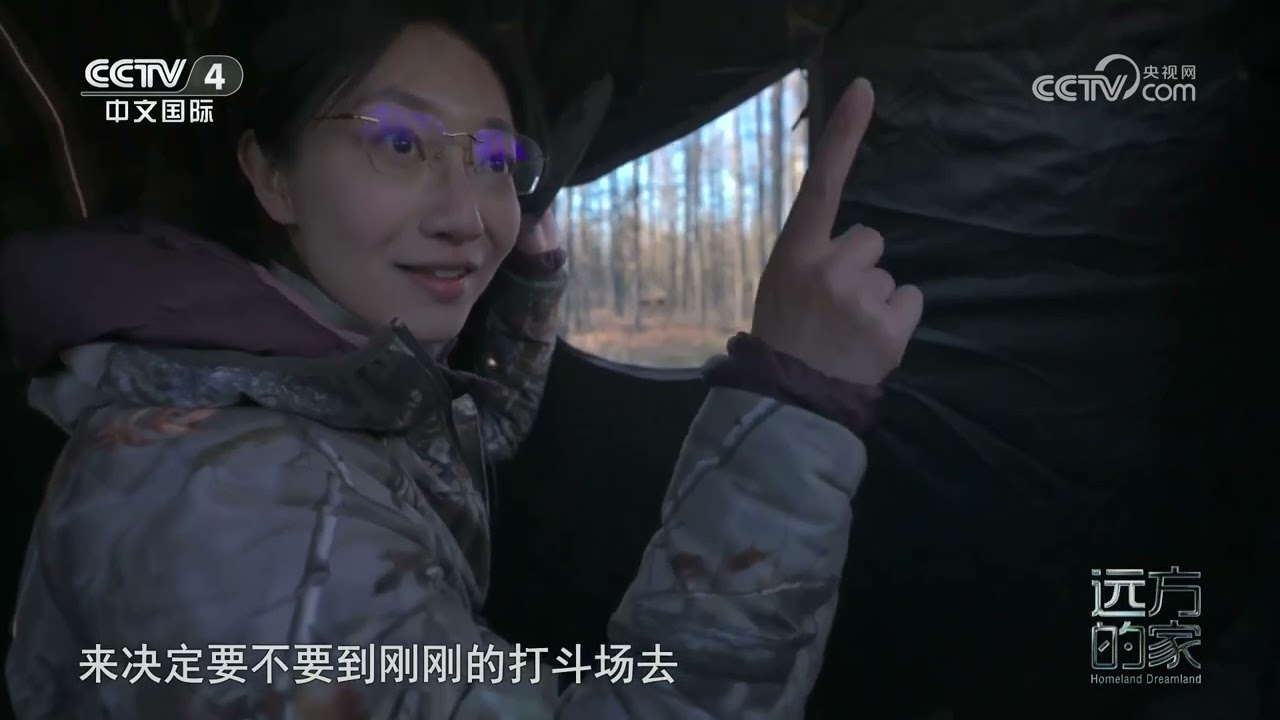 [远方的家]万物和鸣 奇妙自然 春归大兴安岭 | 中华地图