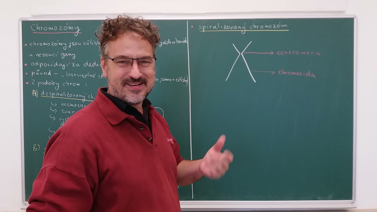Chromozómy 1