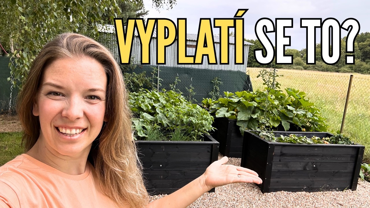 Vyvýšené záhony ano či ne? | Návod na výrobu včetně samozavlažování od A do Z + moje zkušenosti 🌿
