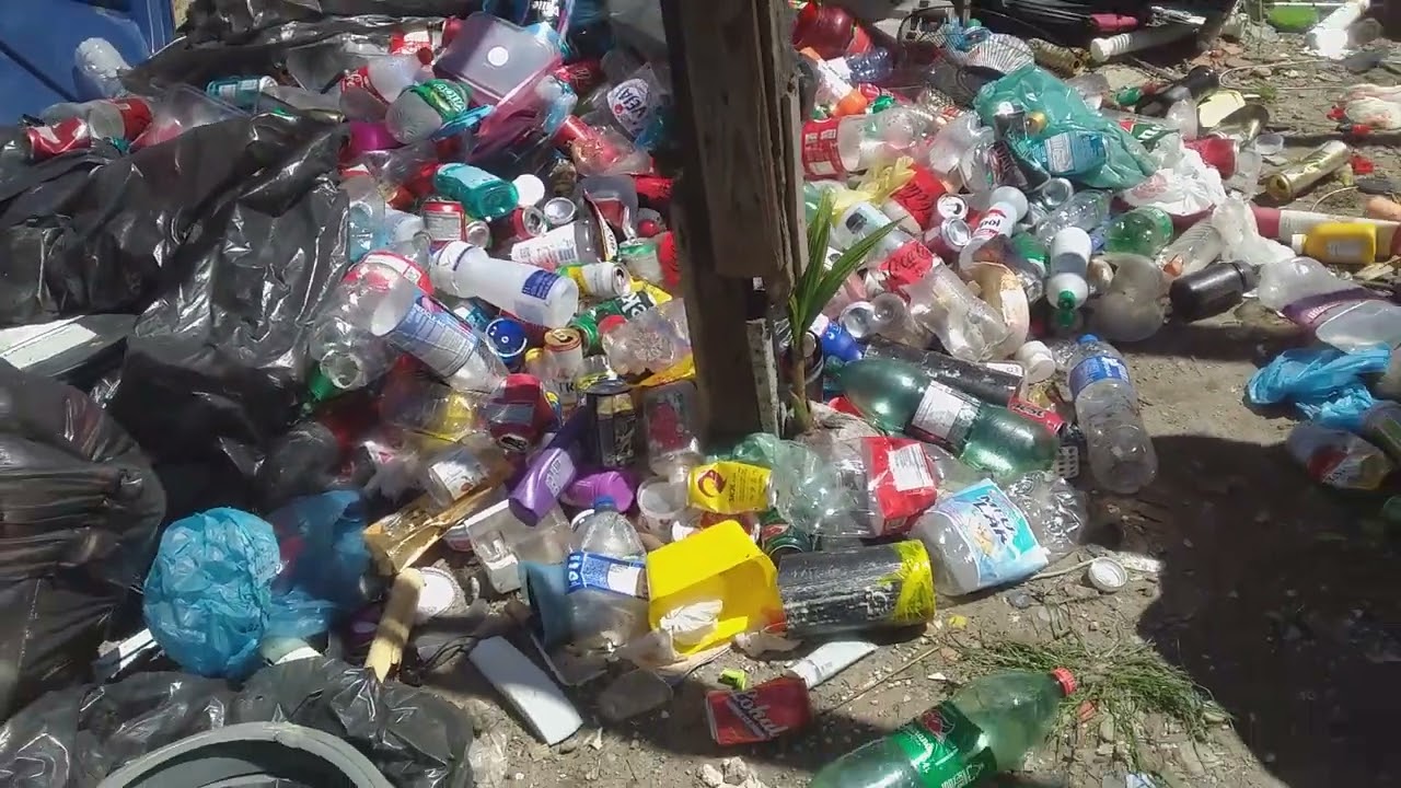 Reciclando com vc pedro paulo ramos da silva no galpão 