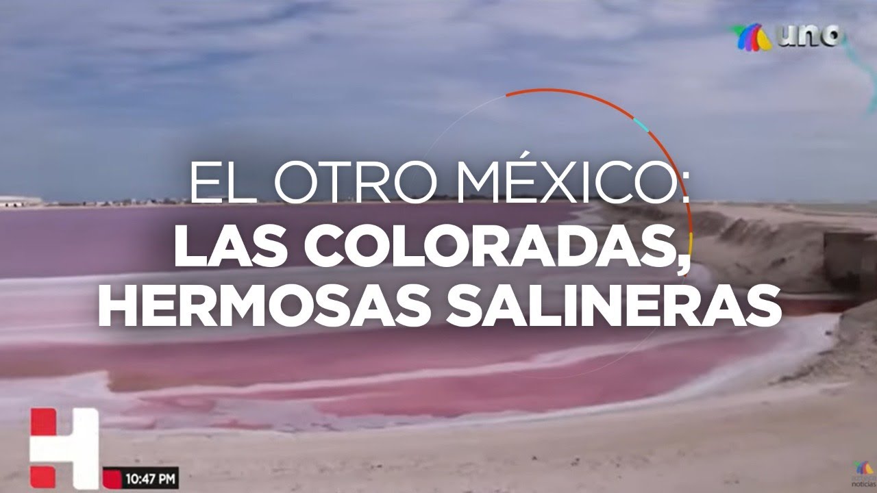 #Hechos | &iquest;Ya conoces 