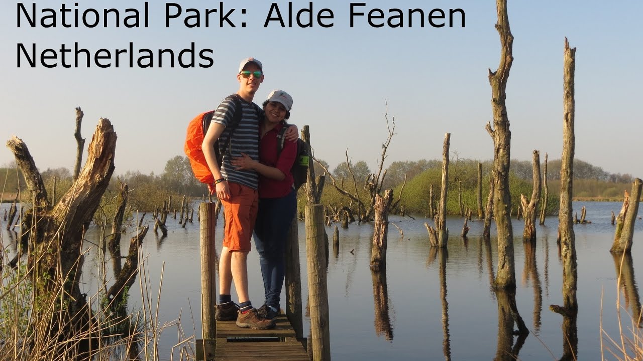 What to do in Friesland, netherlands: see National Park Alde Feanen van boven, Drone phantom 3
