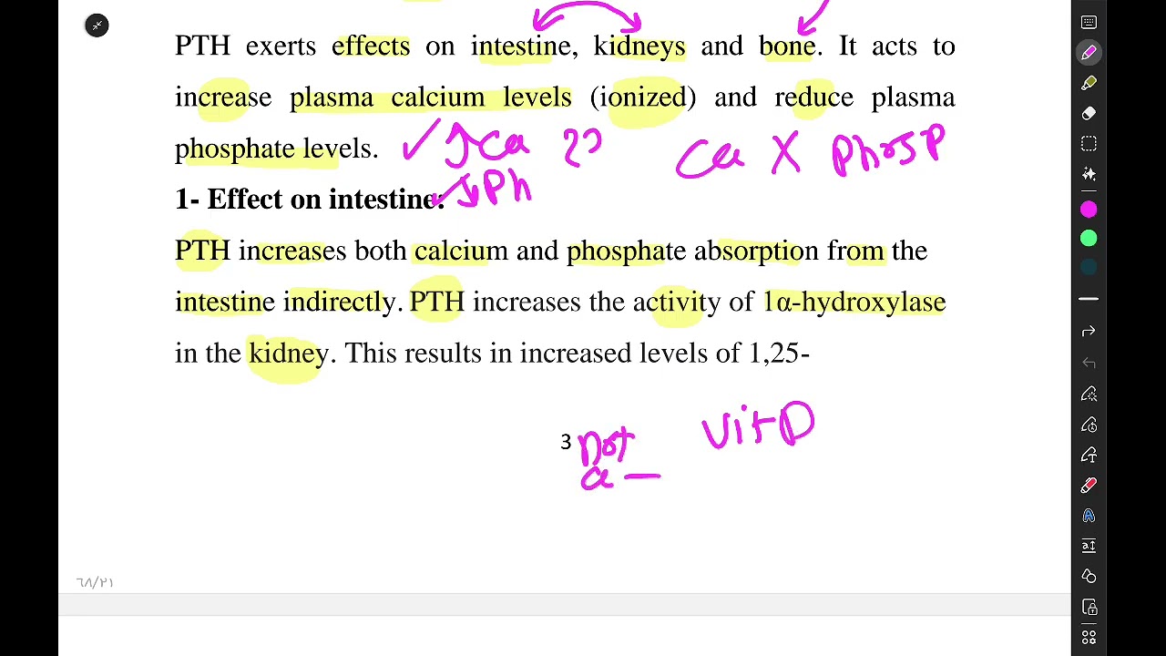 Explanation of Physiology Lecture No. 13: Calcium Metabolism, with answers to the questions.