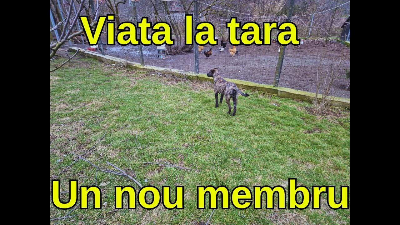 Viata la tara - un nou membru