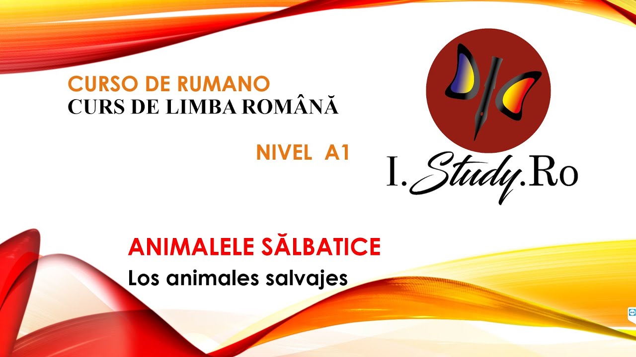 El plural de los animales salvajes en rumano| 📚CURSO para APRENDER RUMANO nivel A1✅ #103  IStudyRo