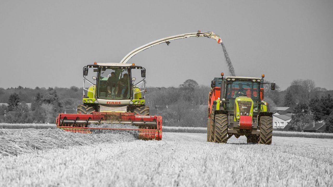 Travaux agricoles de l'année 2019