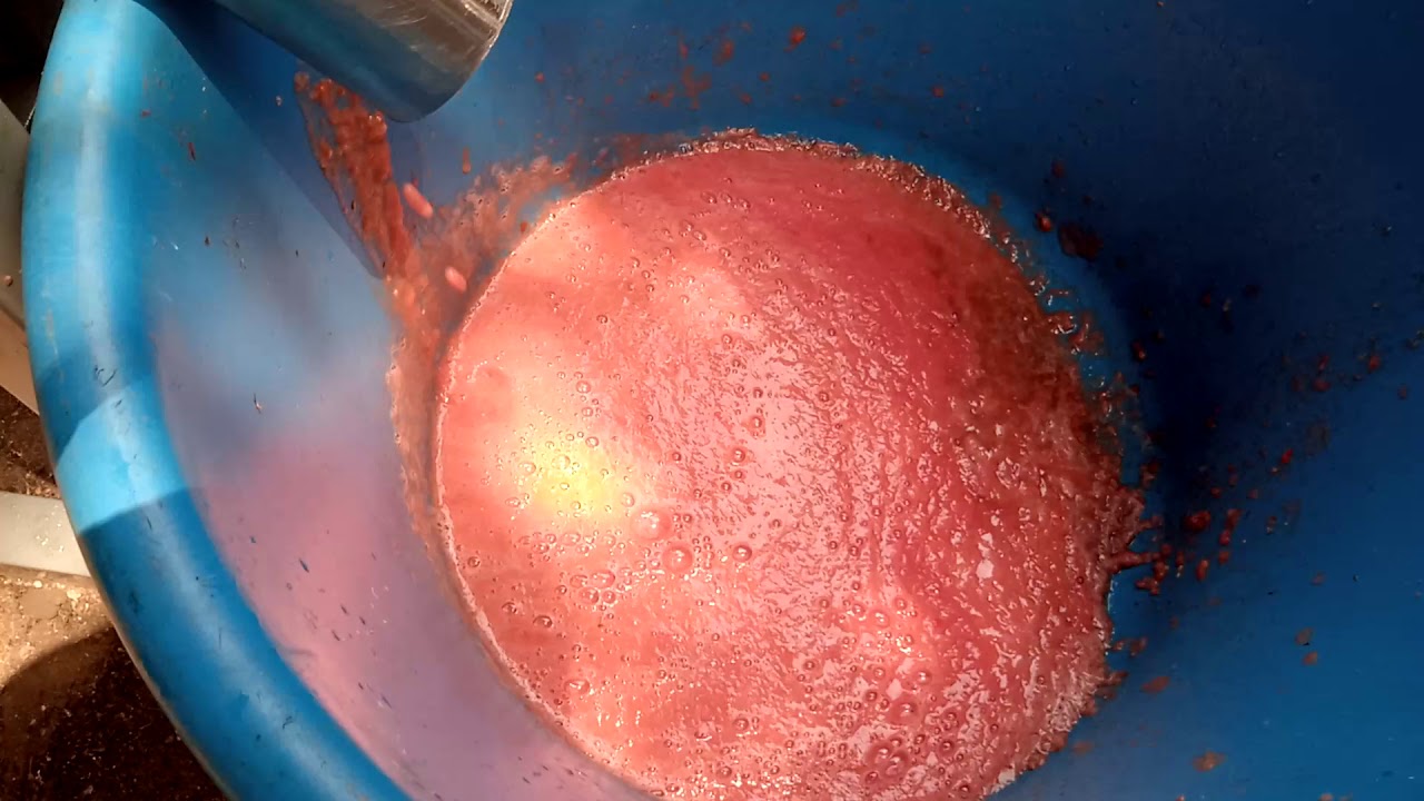 Afrique ;Togo,moulin à marteaux en inox