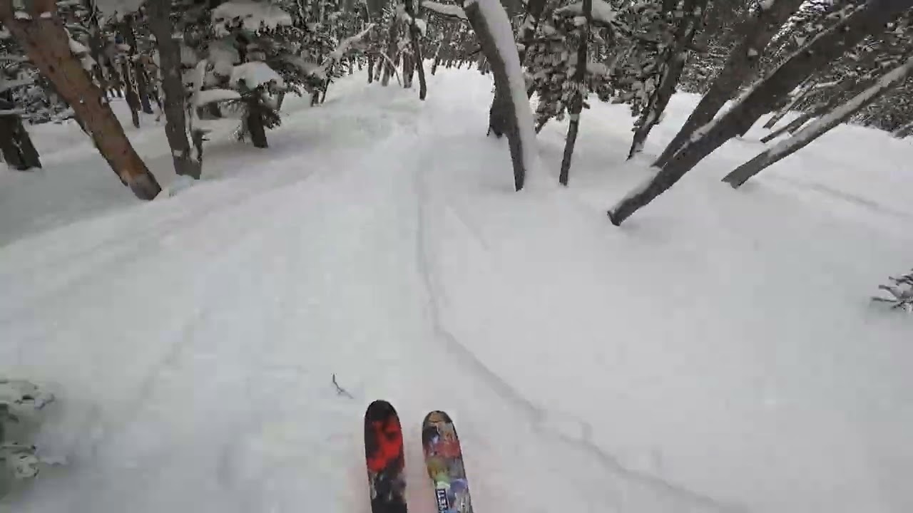 Tight trees at yellowstone club