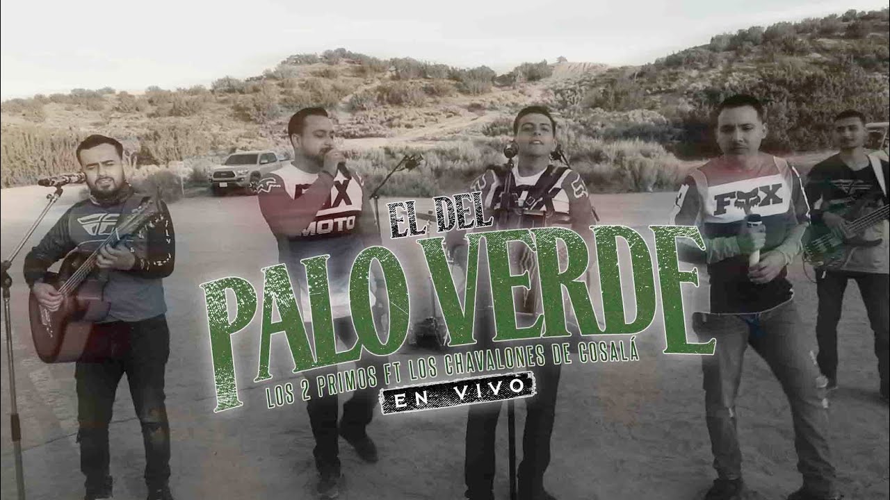 Los 2 Primos ft. Los Chavalones de Cosala - El Del Palo Verde (En Vivo)