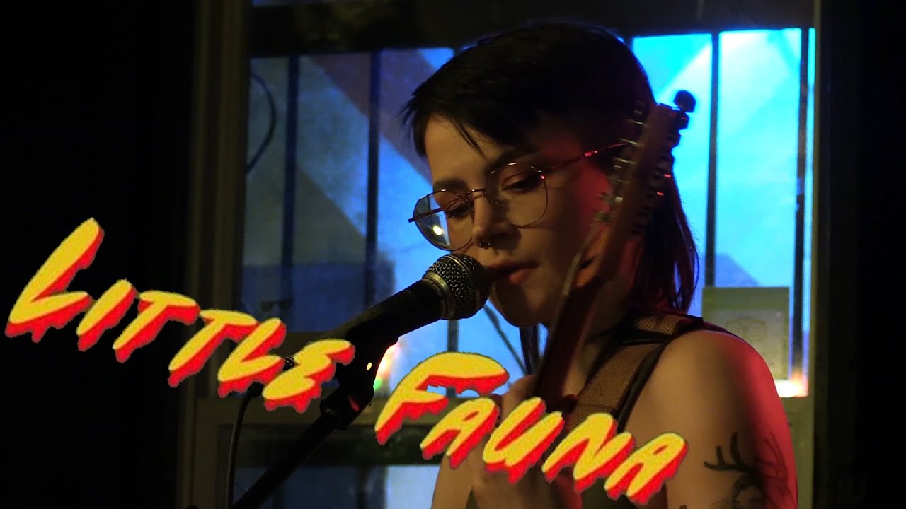 LITTLE FAUNA - November 1, 2025