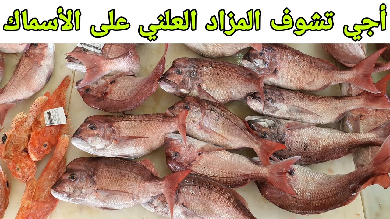 أثمنة الأسماك من داخل سوق بيع الأسماك بالجملة Prix ​​du poisson sur le marché de gros du poisson