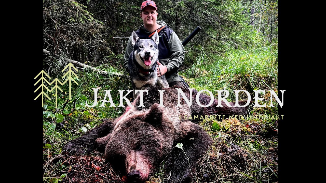 Jakt i Norden - Bj&ouml;rnjakt med br&ouml;derna St&aring;ndfast&acute;s