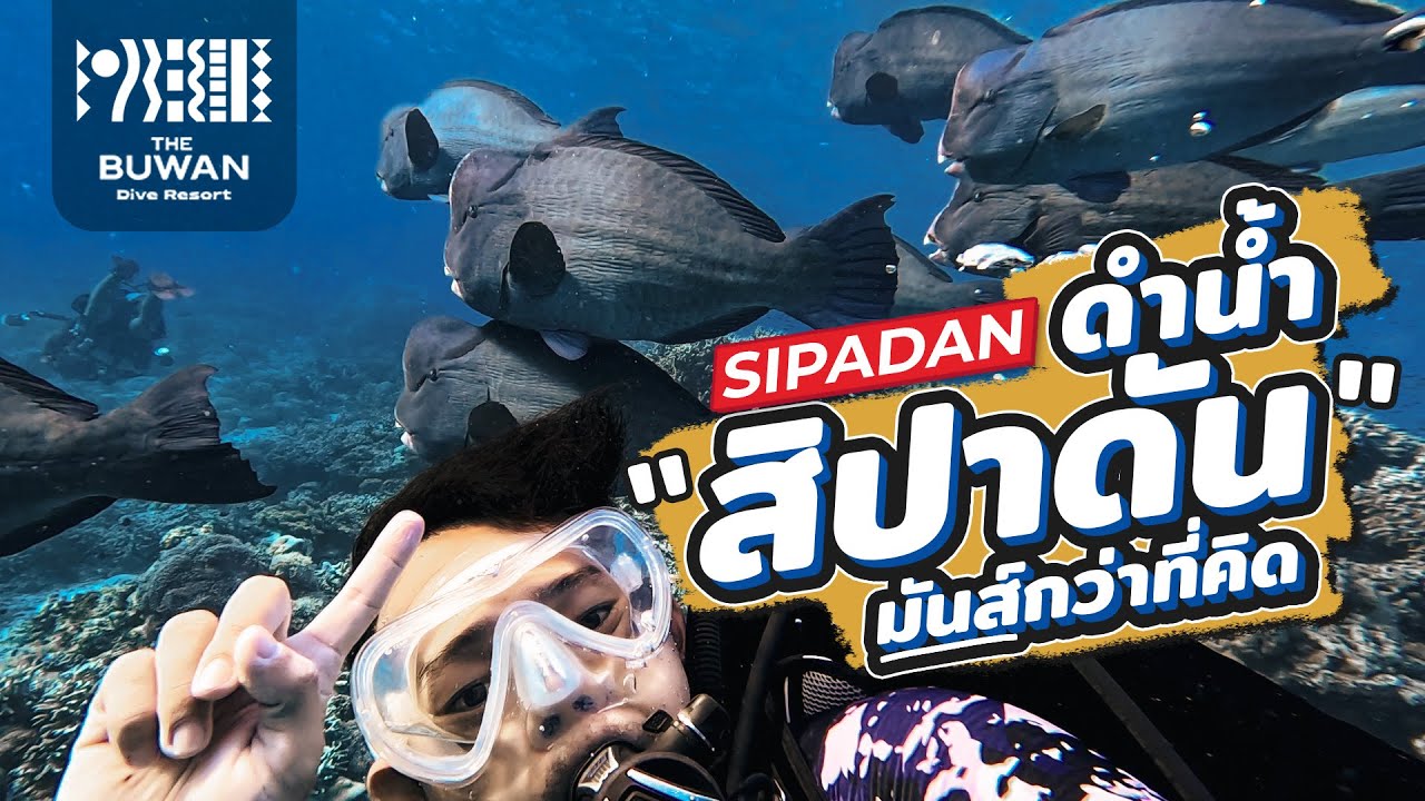 [ Full Review ] รีวิวดำน้ำสิปาดัน มันกว่าที่คิด - Scuba Diving at Sipadan - Buwan Dive Resort
