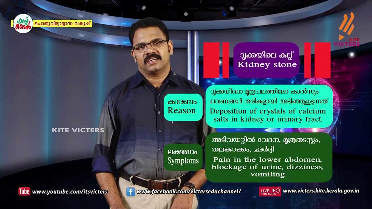 KITE VICTERS STD 09 Biology Class 32 (First Bell-ഫസ്റ്റ് ബെല്‍)